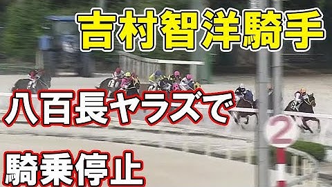 【園田競馬】吉村智洋騎手が八百長（ヤラズ）で騎乗停止　2021年6月11日園田競馬場6R